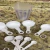 Kit 9 Peças Copos E Colheres Medidoras Confeitaria Plastico - comprar online