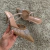 Novo verão sandálias femininas strass malha brilhante calçado de salto alto elegante estilingue apontou deslizamento em festa senhora bombas sapatos - comprar online