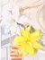 Imagem do 2 Presilhas estilo flores