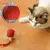 BRINQUEDO INTERATIVO PARA GATOS COM CAUDA E ROLAMENTO AUTOMÁTICO – INTELIGENTE, RECARREGÁVEL E SEGURO - comprar online