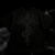 DRAGON SKALIBUR OVERSIZED - comprar online