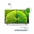 Led Bgh 32 P B3222s5a - Llanos Electro