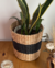 Canasto calabaza y papel natural - comprar online