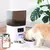 Alimentador Automático Inteligente para Gatos | Câmera HD, Tigelas Duplas, Conexão Bluetooth, Capacidade de 5L