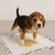 Imagem do Tapete Higiênico Pet Germanhärt – Kit com 7 Unidades 80x60cm