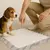 Tapete Higiênico Pet Germanhärt – Kit com 7 Unidades 80x60cm na internet