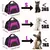PetGo Portátil – Bolsa de Viagem Respirável para Cães e Gatos Pequenos na internet