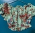 Cropped Ciganinha Floral