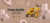 Imagem do banner rotativo uselashshop