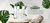 Imagem do banner rotativo uselashshop