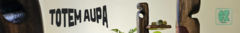 Banner de la categoría TOTEM