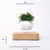 Pote de bonsai de ar flutuante 3d led