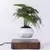 Pote de bonsai de ar flutuante 3d led