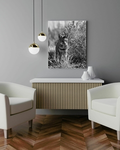 Banner de la categoría Fauna