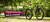 Carrusel Batata Bikes