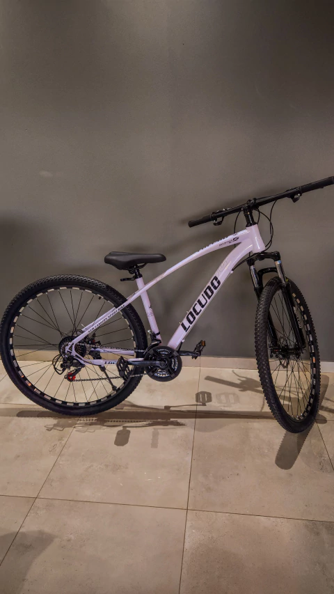 Bicicleta Rodado 29" Locudo