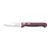 Cuchillo para verduras y legumbres Polywood