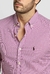 Camisa Ralph Lauren na internet