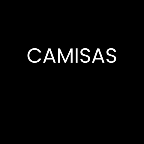 Carrossel 1