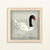 Cuadrito Cisne de cuello negro - comprar en línea