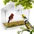 VitraBird™ - Alimentador de pássaros