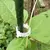ClipVerde Fix – Suporte Inteligente para Plantas na internet