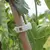 ClipVerde Fix – Suporte Inteligente para Plantas - comprar online