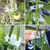 ClipVerde Fix – Suporte Inteligente para Plantas - AzuraShop