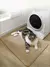 Imagem do Caixa de areia para gatos, capa dupla