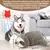 Cão presente de natal floresta preguiça filhote de cachorro cardíaco brinqued - AzuraShop