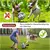 DogJoy Balls™ na internet
