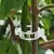 ClipVerde Fix – Suporte Inteligente para Plantas na internet