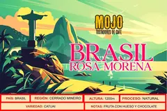 Banner de la categoría Brasil Rosa Morena en Grano