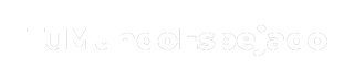 Fabrica de Bolas Espejadas