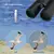 Image of Professional Binoculars Svbony SV47 for Adults – 8x32 / 8x42 / 10x42 Options with BAK4 Prism and FMC HD Lens
