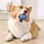 PulaPet - Bola Interativa com Movimento Automático para Cães na internet