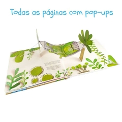 O Monstro Das Cores - Livro Pop-up na internet