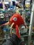 Peluche Magikarp - Pokemon 20-25Cm