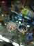 Straps Jujutsu Kaisen - comprar online