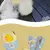Kit Completo para Passeio Pet – Peitoral com Guia + Chapéu de Sol Estiloso para Cães e Gatos - loja online