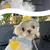 Imagem do Kit Completo para Passeio Pet – Peitoral com Guia + Chapéu de Sol Estiloso para Cães e Gatos