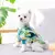 Imagem do Look Tropical Havaiano para Pets – Roupa + Óculos de Sol + Colar Dourado Falso – Estilo e Charme para seu Melhor Amigo!