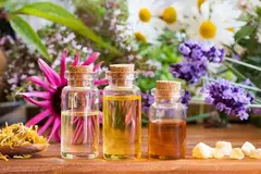 Banner da categoria Aromáticos