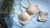 Sutiã de seda gelo para mulheres sexy sem costura bralettle reunir push up ling - EDISON UMBELINO