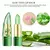 Batom Aloe Vera – Hidratação Profunda e Proteção Labial de Longa - A PRIMEIRA VISTA 