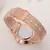 Relógio Feminino Casual de Luxo – Design Elegante em Ouro Rosa com Pulseira Fina na internet