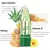 Batom Aloe Vera – Hidratação Profunda e Proteção Labial de Longa na internet