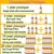 Sérum de Vitamina C para Rugas e Firmeza - A PRIMEIRA VISTA 