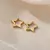 Brincos de luxo estrela pendientes - TudOoraStore