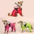 DogStorm - Jaqueta Impermeável Estilosa para Cães - Outlet Pet